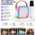 Portable Karaoke Speaker with Wireless Mic | Bluetooth 5.3 + LED Lights + 6-8H Battery`